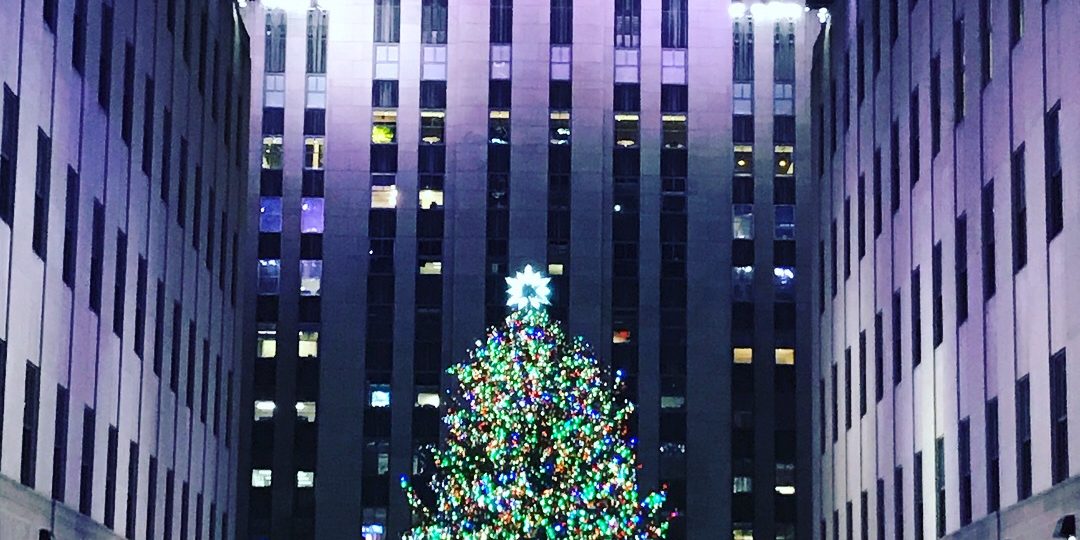 Eri-ryugakunikki-12-1